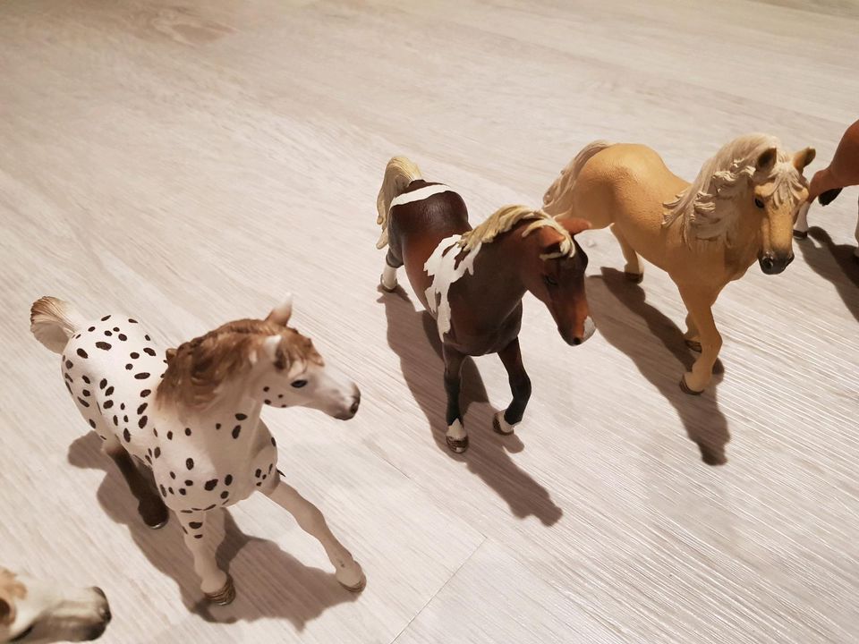 Schleich Hengst in Vögelsen