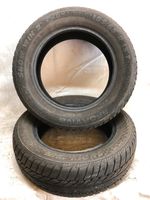 Winterreifen, 2x 185/65 R15, 88T, Sportiva Hessen - Haiger Vorschau