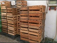 Weinkisten Holzweinkisten Holzkisten Kasten Baden-Württemberg - Schriesheim Vorschau