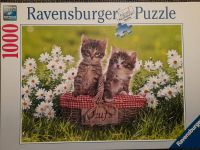 Ravensburger Puzzle "Picknick auf der Wiese": Katzen, Blumenwiese Bayern - Freyung Vorschau
