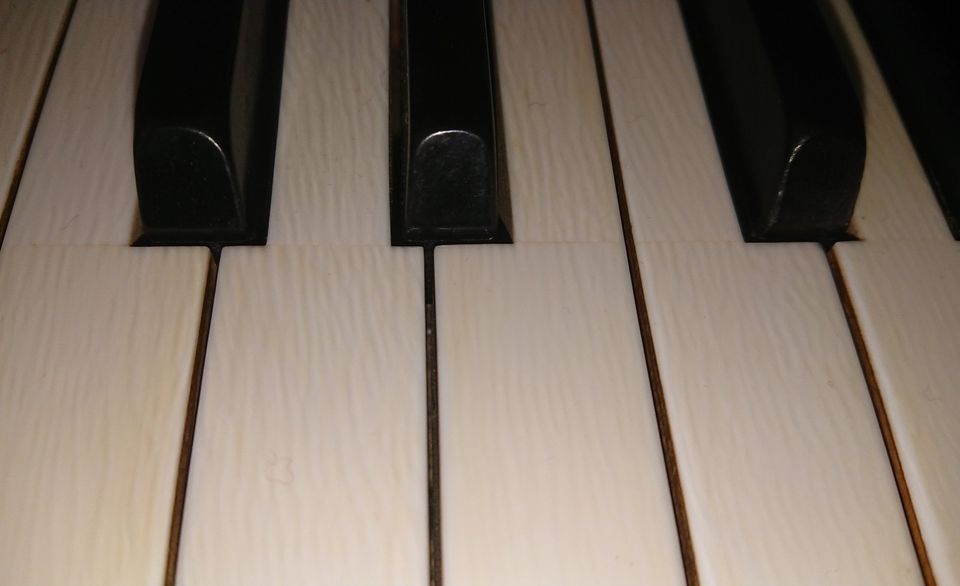 C. Bechstein Klavier Konzertpiano Modell 8a in Saarbrücken