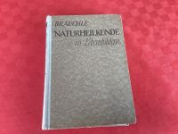 Antiquarisches Gesundheitsbuch 1937 Bayern - Garmisch-Partenkirchen Vorschau