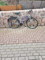 Fahrrad Mountainbike Sachsen-Anhalt - Wettin-Löbejün Vorschau