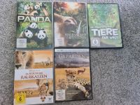 DVD, Tiere, Dokumentation, Gepard, Panda, Raubkatzen, Regenwald Baden-Württemberg - Vaihingen an der Enz Vorschau