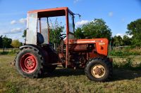 Krieger Schmalspurschlepper KS 50A Rheinland-Pfalz - Freimersheim Vorschau