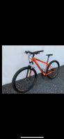 Focus whistler Mountainbike Rheinland-Pfalz - Gerolstein Vorschau