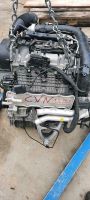 MOTOR CVN CVNA CVNB 1.4TSI 110KW 150PS Nordrhein-Westfalen - Schloß Holte-Stukenbrock Vorschau