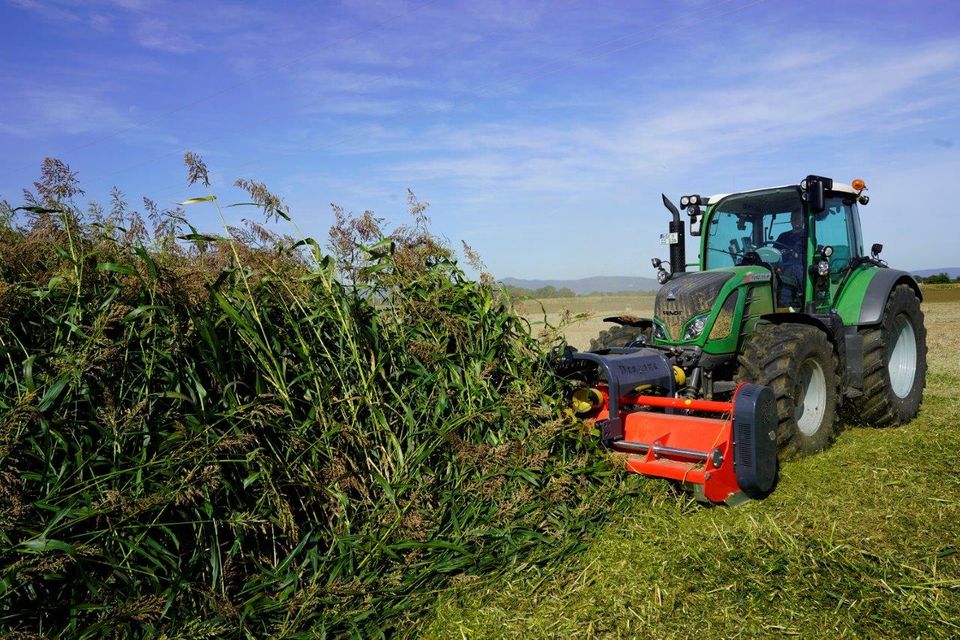 DRAGONE VP280 Mulcher /Schlegelmulcher für Traktor-Aktionsangebot in Schmallenberg