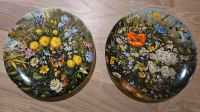2 Wandteller Blumen "Wilde Schönheiten Sammelteller Niedersachsen - Buchholz in der Nordheide Vorschau