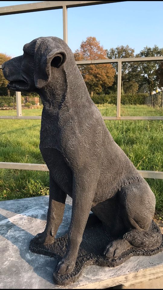 Labrador Retriever 80cm 90kg Lebensgroß Steinguss Labbi Lab Hund in Karlsruhe