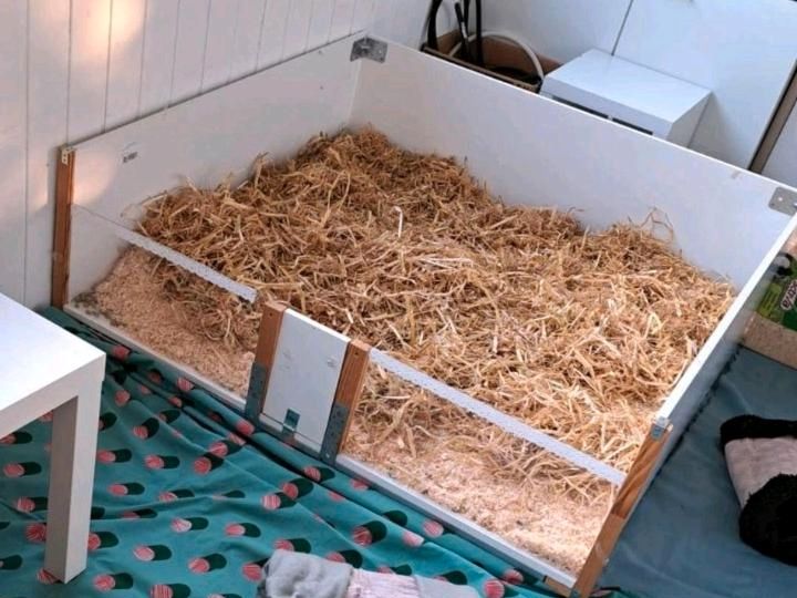Selbst gebauter Meerschweinchen Stall in Holzwickede