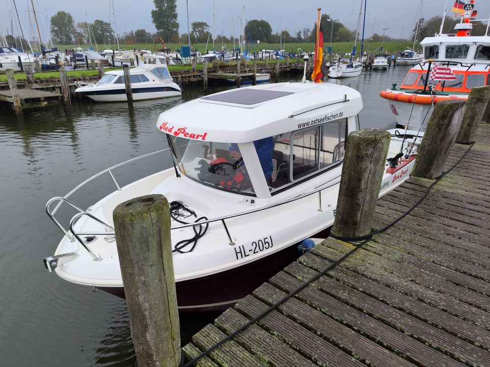 Red Pearl 115PS mit Führerschein Mietboot 1 Woche Angelboot in Lütjenburg