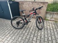 Fahrrad zu verkaufen Rheinland-Pfalz - Bad Kreuznach Vorschau