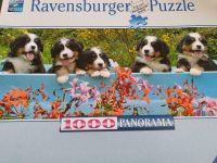 Diverse Puzzle- für gross und klein Tiere Schiffe Kaffee Bayern - Münchsmünster Vorschau