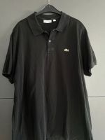 Lacoste Poloshirt Herren Saarbrücken-Dudweiler - Dudweiler Vorschau