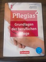 Pflegias Band 1. Grundlagen der beruflichen Pflege Duisburg - Meiderich/Beeck Vorschau