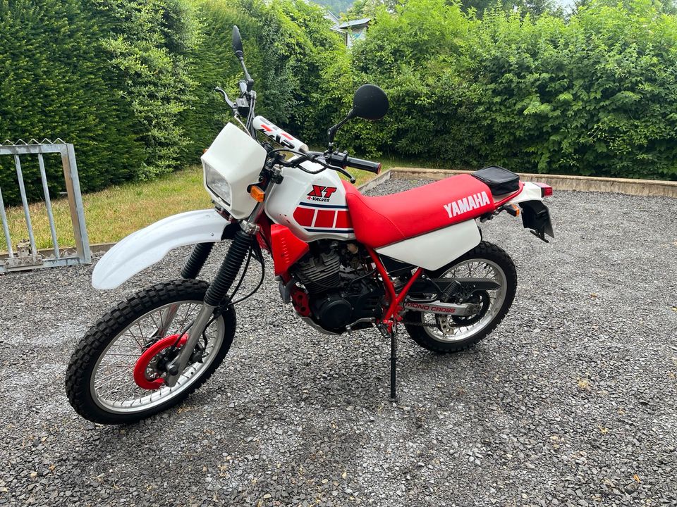 Yamaha XT 350 in Höxter