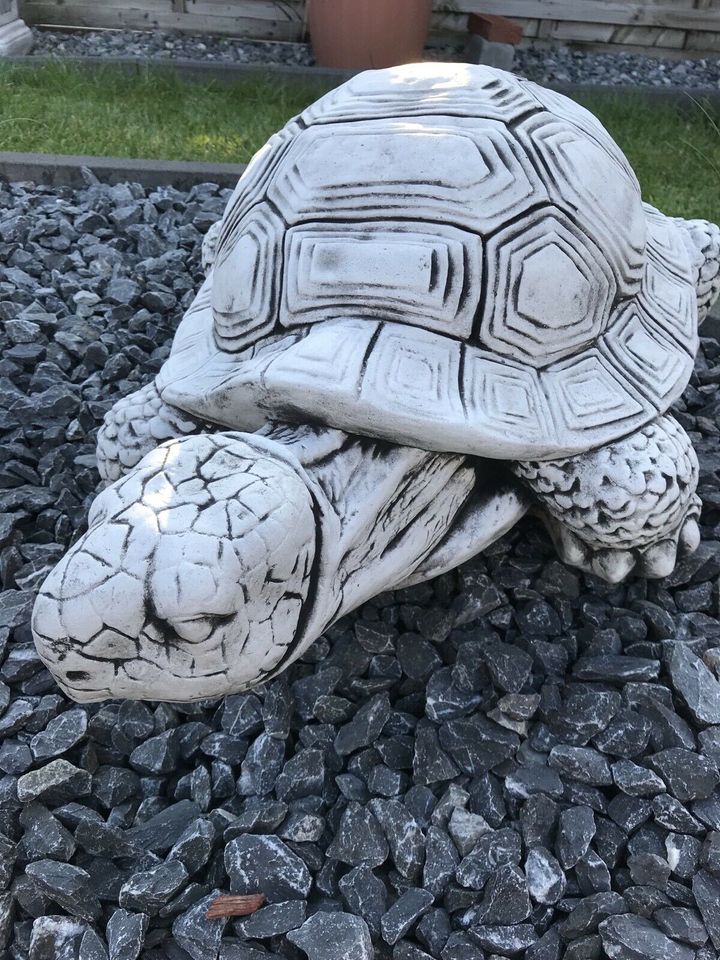 ‼️XL Riesen Schildkröte 70kg Schildkröten Steinguss Reptil Teich in Oberhausen