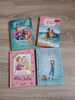 Bücher für Mädchen Adele, Ponyhof Liliengrün, Alles Jula, Zarah Niedersachsen - Molbergen Vorschau