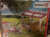 Schleich Horse Club Reitplatz… 72118 Hessen - Langgöns Vorschau