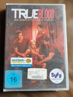 True Blood Staffel 4 DVD Nordrhein-Westfalen - Büren Vorschau