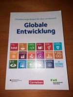 Globale Entwicklung  Buch Bayern - Simmelsdorf Vorschau