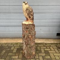 Große Holzskulptur eines Adler Gartenstatue Nordrhein-Westfalen - Brüggen Vorschau