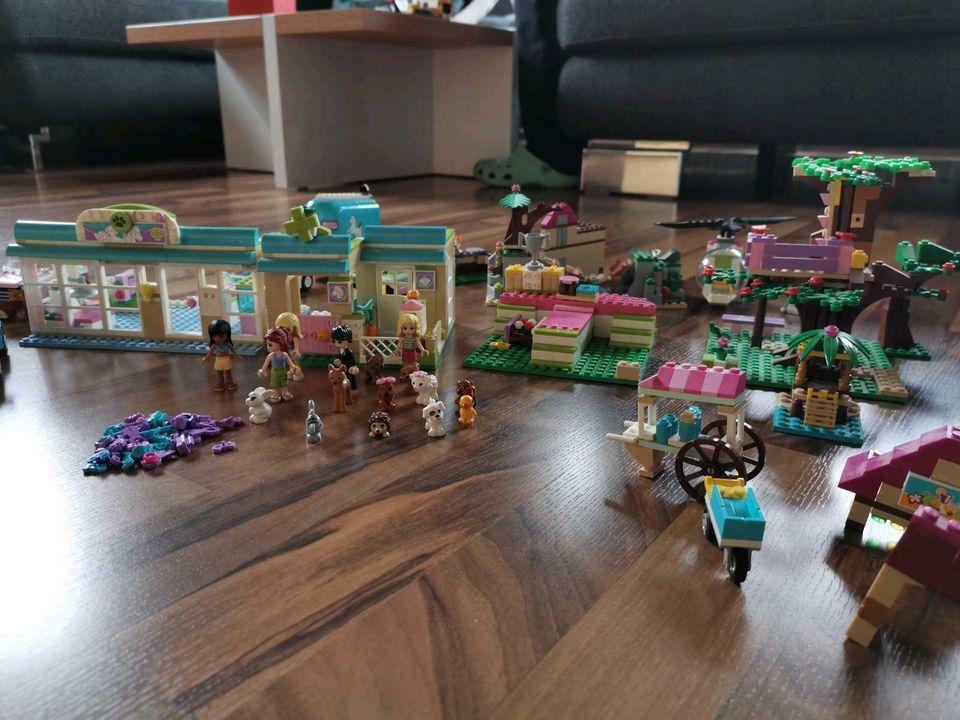 Lego Friends Konvolut in Trebgast