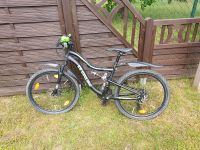 Mountainbike Zoll 24 Brandenburg - Mahlow Vorschau