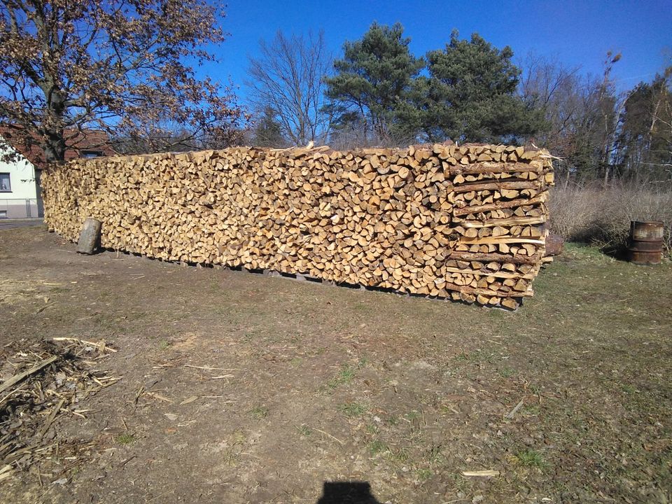 Kaminholz Brennholz Buche Eiche ( Juni Aktion  inkl.Lieferung ) in Gransee