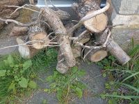 Holz Brennholz Sachsen - Heidenau Vorschau