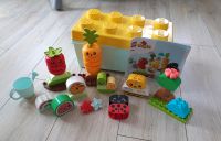 Lego Duplo Biogarten inkl. Box Bayern - Pirk Vorschau