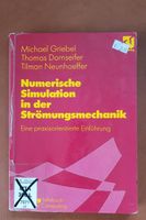 Numerische Simulation in der Strömungsmechanik München - Allach-Untermenzing Vorschau