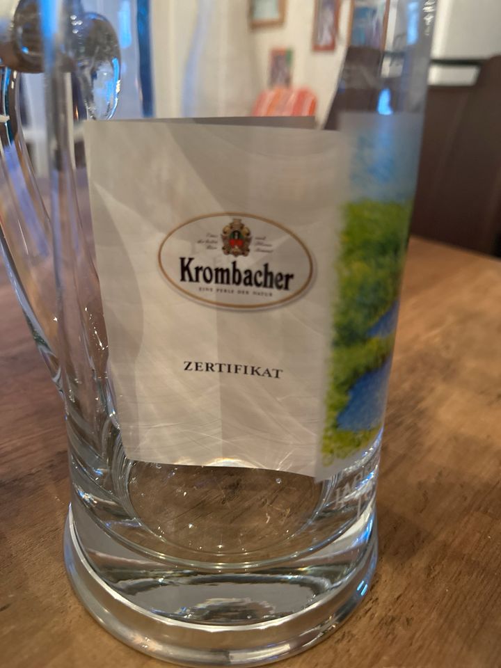 Jahresbierkrüge Krombacher (1996) (1994) in Biedenkopf