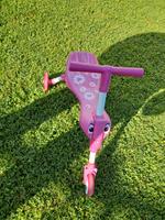 Shuttle Bug Dreirad pink Herzogtum Lauenburg - Breitenfelde Vorschau