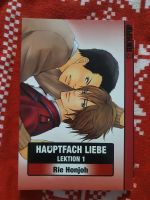 Manga Reihe "Hauptfach Liebe" *Komplett* Sachsen - Wiednitz Vorschau