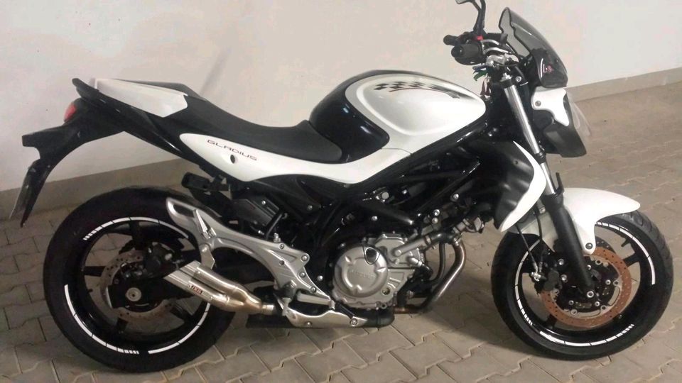 Motorrad Suzuki Gladius 650 - Top gepflegt in Mindelheim