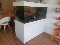 Aquarium komplett mit unterschrank und Besatz Bayern - Moosinning Vorschau