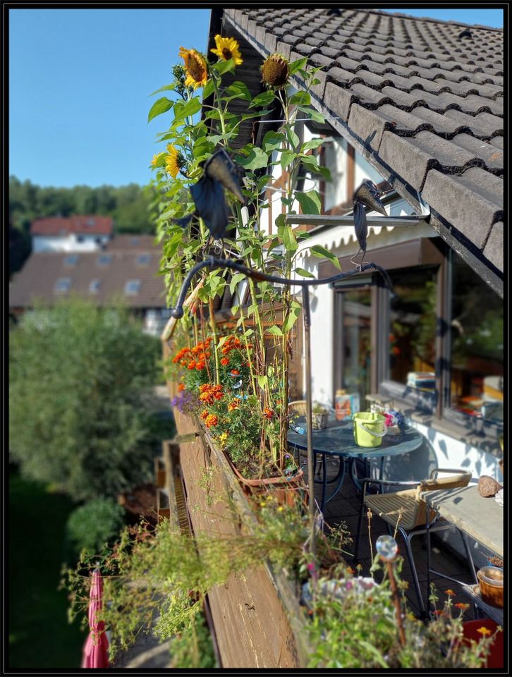 Leerstehende Doppelhaushälfte m. Einliegerwohnung in Hemer Ihmert in Hemer