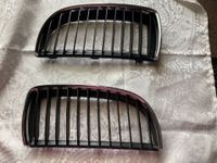 BMW 3er E90 E91 Kühlergrill Frontgrill Niere 22405910 re u.li NEU Nordrhein-Westfalen - Gelsenkirchen Vorschau