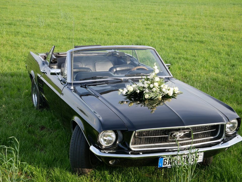 Ford Mustang mieten Rent a Mustang b. Berlin 1968 V8 4.7 Cabrio in Bernau