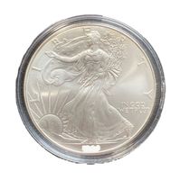 USA American Eagle Silber Münze 1 Dollar 1988 Silver Coin Bayern - Moosburg a.d. Isar Vorschau