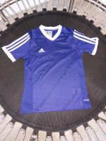 Trikot Adidas lila, 152, Sportshirt Nürnberg (Mittelfr) - Südstadt Vorschau