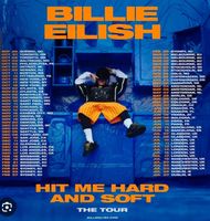 ‼️Suche‼️ 2 Tickets für Billie Eilish Tour für die Konzerte in DE Thüringen - Erfurt Vorschau