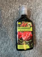 Schacht Rosenzauber NEU 350ml Rostock - Stadtmitte Vorschau