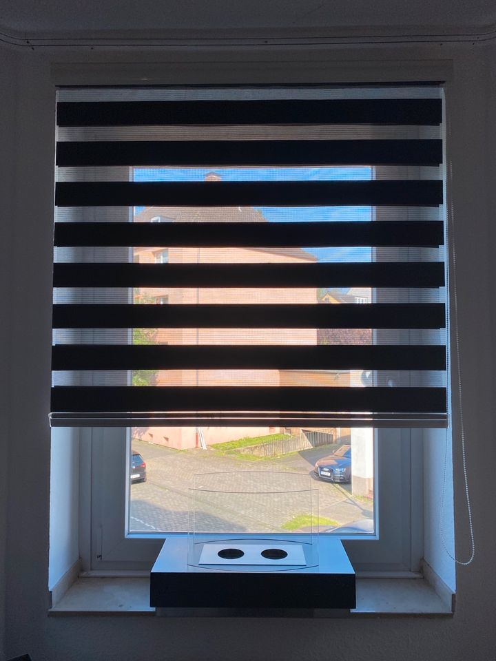 Fenster Rollos Doppelrollo Gardine Jalousie Sichtschutz - schwarz in Krefeld
