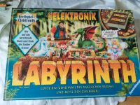 Das elektronische Lapyrinth Dresden - Pieschen Vorschau