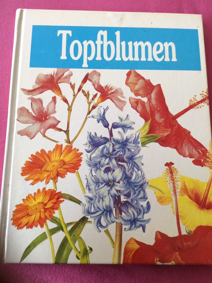 Buch - TOPFBLUMEN - Moewig - Pflanzen Natur Garten Blumen in Bekond