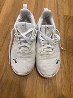 Puma Schuhe Bayern - Volkach Vorschau