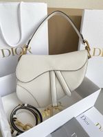 Dior Tasche Damen handtasche Christian Dior Saddle bag original Nordrhein-Westfalen - Moers Vorschau